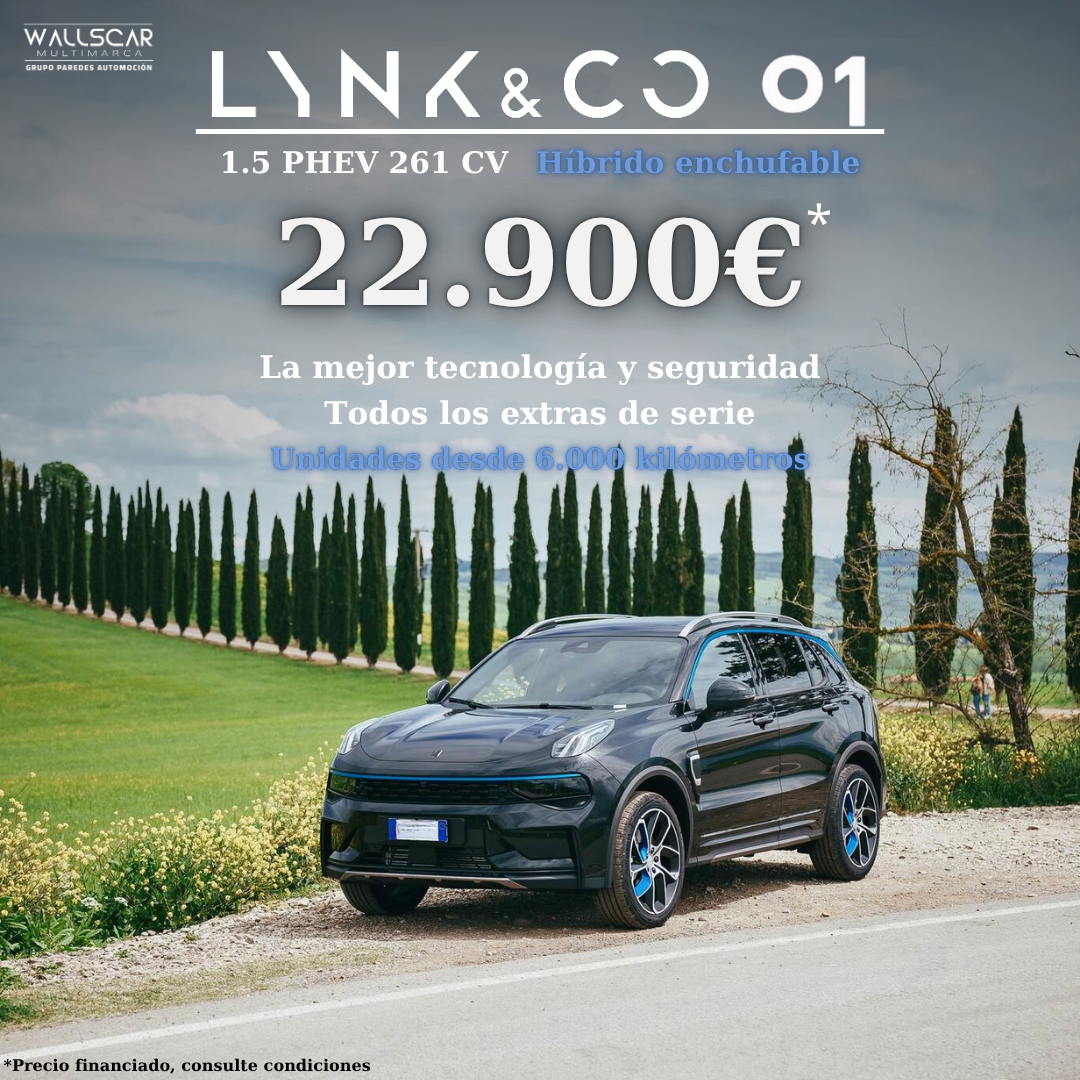 Lynk 01